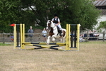 WJ6_1443
