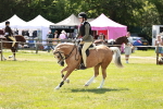 SBM_15675
