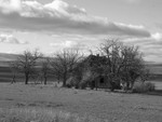 surrounded black & white