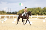 SBM_004231