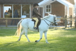 SBM_31791