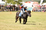 SBM_16533