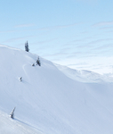 Winter - 8
