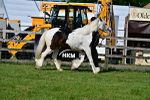 SBM_10004