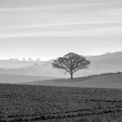 Hazy day on the Downs
