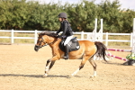 SBM_006204