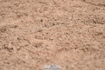 230511A-103026-00251