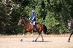 WJ6_8740