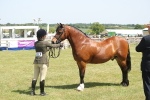 SBM_06974
