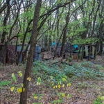 Pripyat Sailing Club
