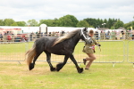 SBM_03565