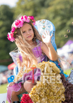 North Show 2017-1