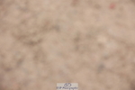 231112A-120942-03990