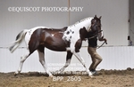 BPP_2605
