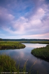 Marsh Rhythms