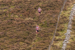 Leg Three-11