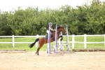 SBM_001243
