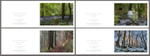 4 Seasons No.1