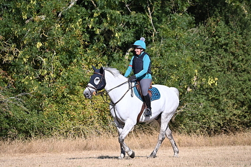 WJ6_6896