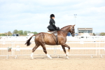 SBM_03312