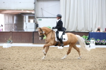 SBM_007542