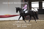 BPP_9395