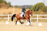 SBM_018576