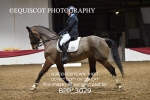 BPP_3029