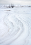 SAND & SNOW #3, LONG POINT BEACH