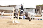 SBM_008756