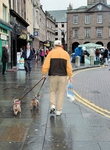 Hovis Heads Home