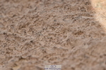 231015A-132118-08309