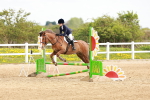 SBM_003782