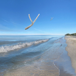 Morning, Englewood Beach