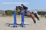 CLASS 5 Senior Newcomers/ 1.10m Open portfolio
