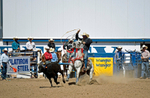3HRodeo8-11-25_PRCASteer_06930_