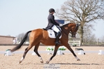 Cls 7 Premier League FEI Intermediate I portfolio
