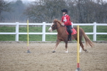 SBM_003337