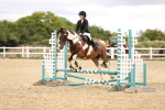 SBM_000499