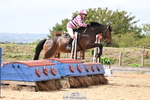 Showjumping and Arena Eventing portfolio