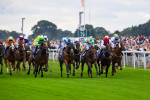230823-Race 1-Equilateral-0227