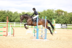 SBM_002561