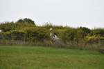WJ5_7047