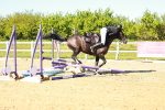 SBM_002102