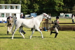 SBM_19315