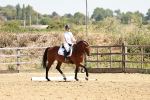 SBM_002868