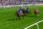 130626-Race 5-Inner City Blues-1791