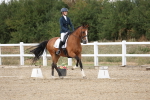 SBM_015041