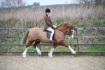 SBM_006040