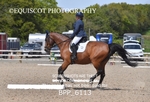 BPP_6113